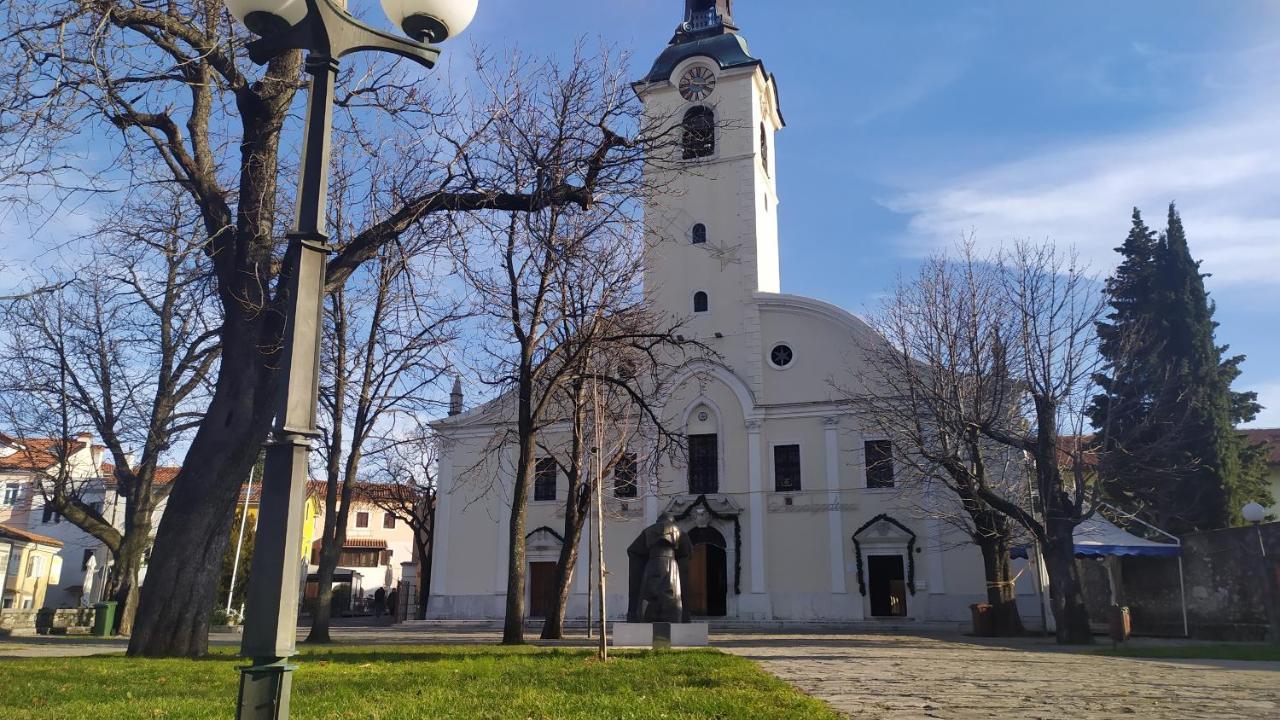 Dreamcatcher Close To Everything- Pet Friendly Beach Nearby Rijeka Bagian luar foto