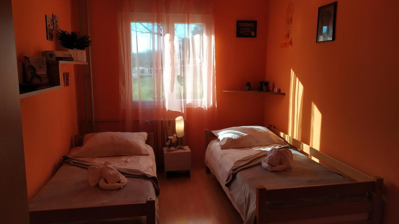 Dreamcatcher Close To Everything- Pet Friendly Beach Nearby Rijeka Bagian luar foto