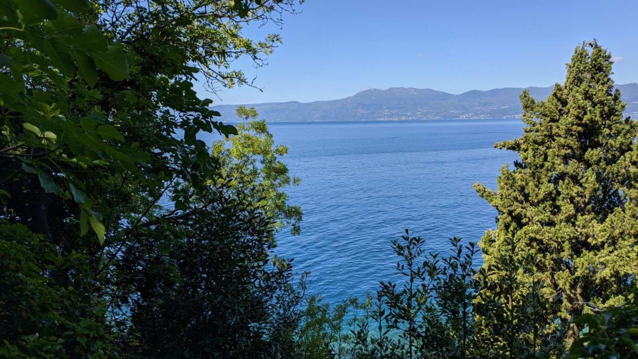 Dreamcatcher Close To Everything- Pet Friendly Beach Nearby Rijeka Bagian luar foto